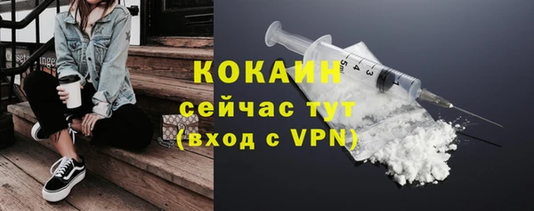 прущий лед Пересвет