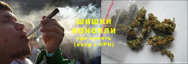 прущий лед Пересвет