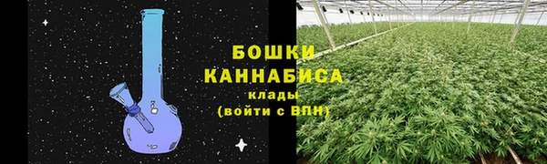 трава Абинск