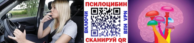 Псилоцибиновые грибы ЛСД  OMG ссылки  Тимашёвск  закладка 